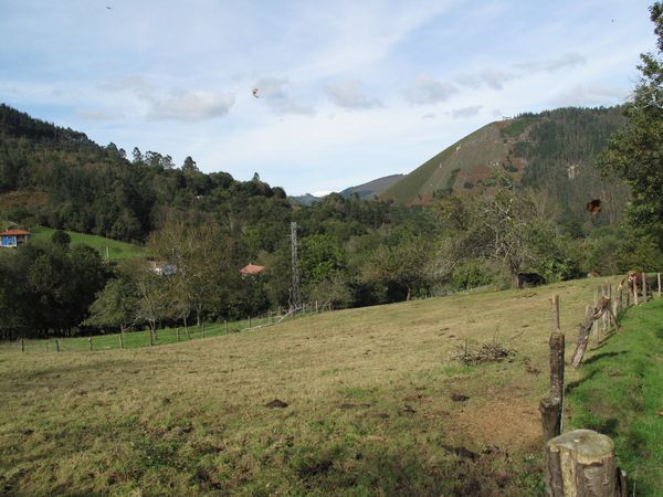 Terreno edificabili in Piloña, Piloña, vendita