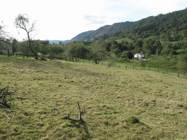 Plot in Piloña, Piloña, for sale