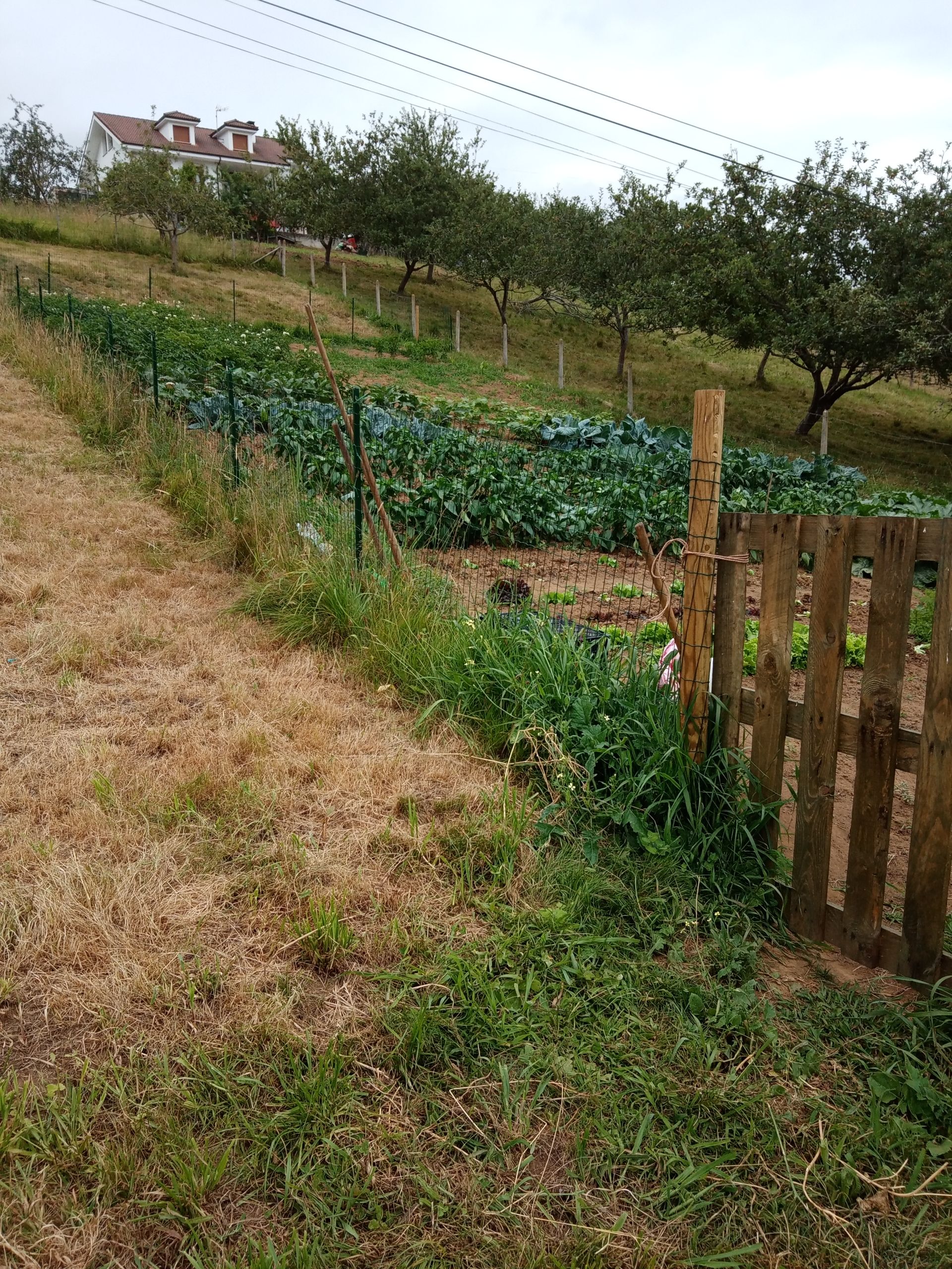 Urban Plot i Parres, salg