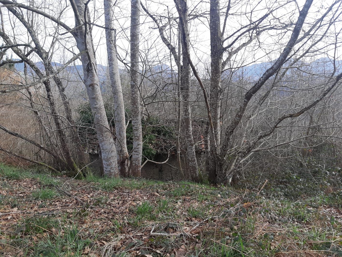 Finca rústica a Cangas de Onís, CONCEJO DE CANGAS DE ONIS, en venda