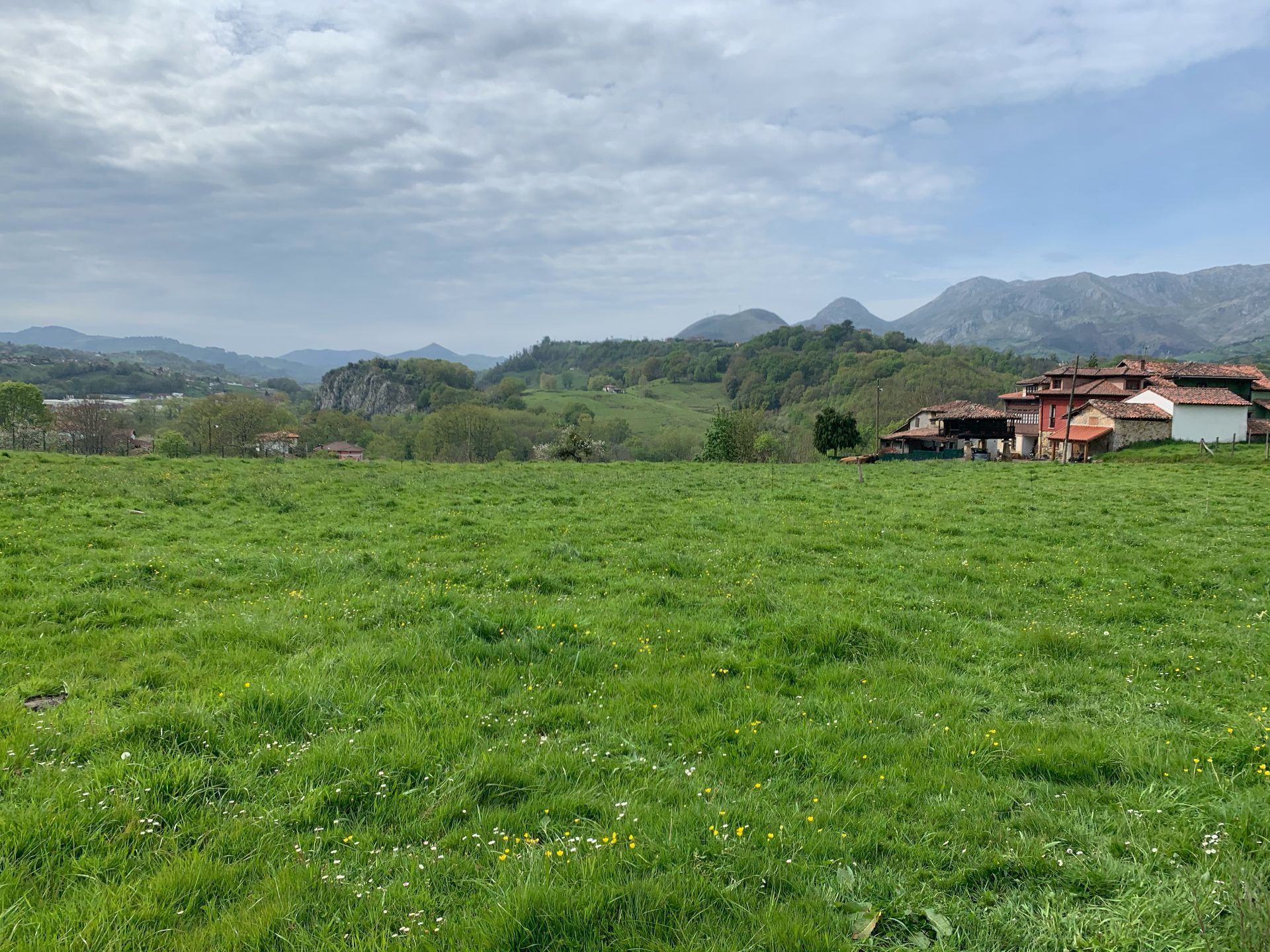 Tomt i Piloña, Concejo de Piloña -, salg