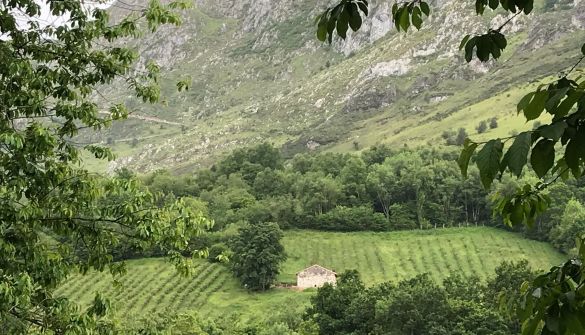 Landejendom i Cabrales, concejo de Cabrales, salg