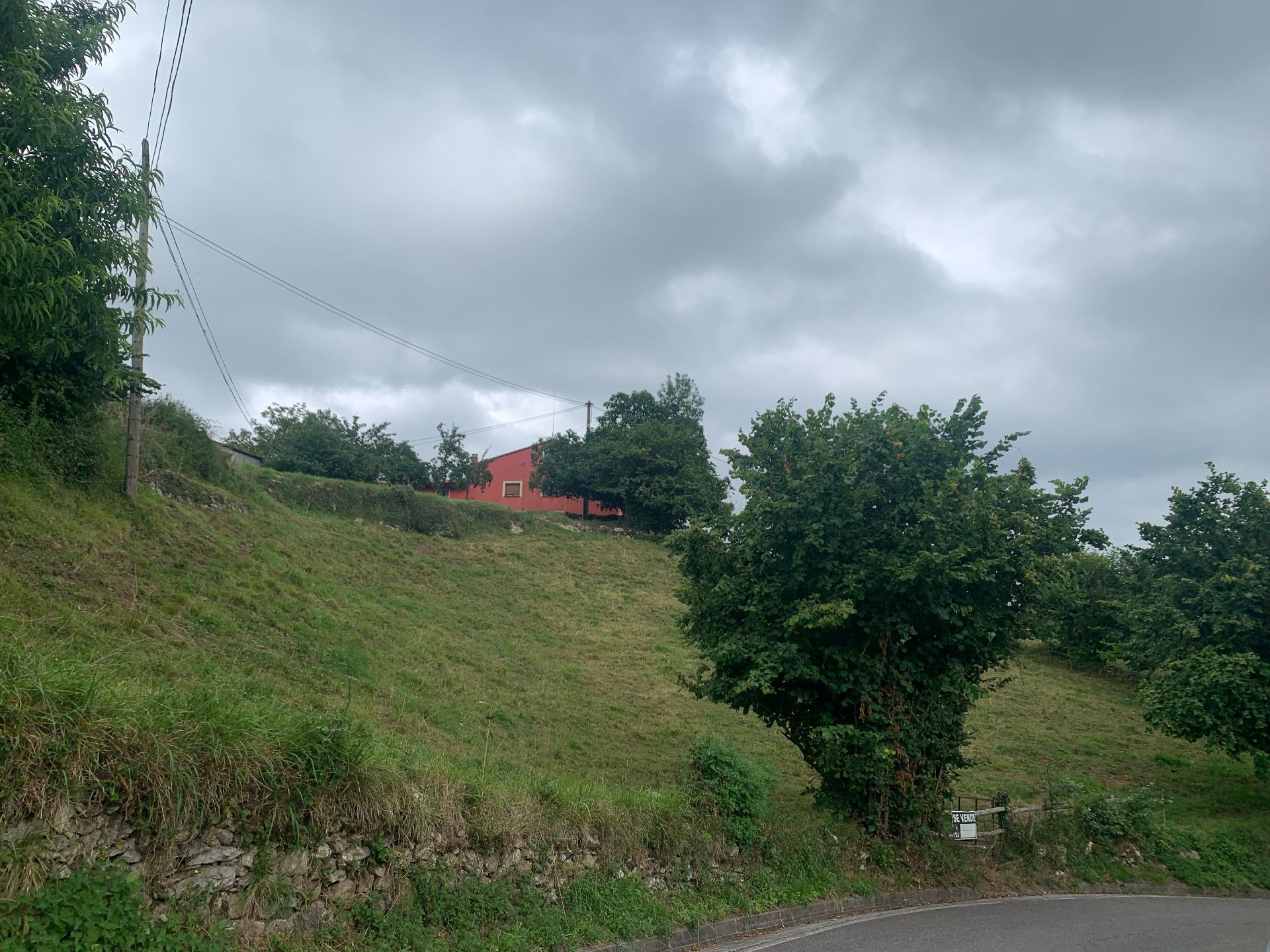 Tomt i Piloña, CONCEJO DE PILOÑA, salg