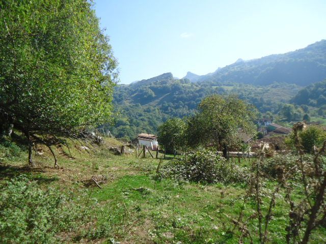 Terreno edificabili in Onís, ONIS, vendita