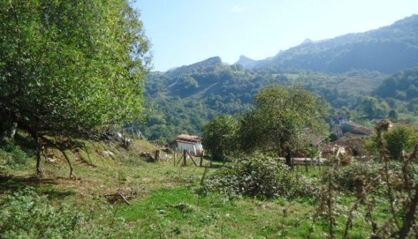 Terreno edificabili in Onís, ONIS, vendita