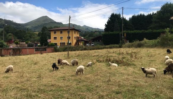 Lote em Cangas de Onís, venda