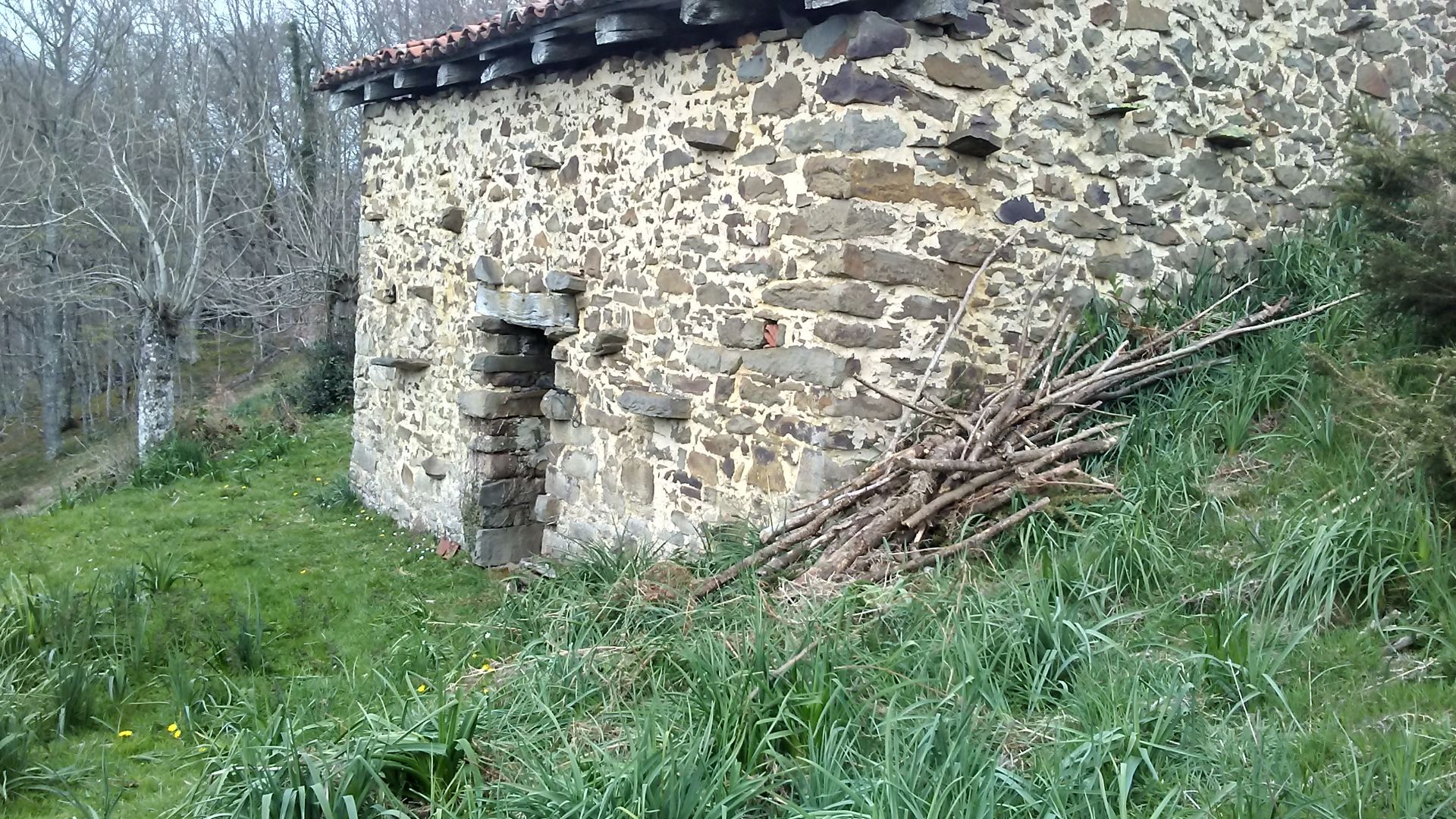 Finca rústica en Ponga, Concejo de Ponga, venta