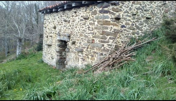 Terreno agricoli in Ponga, Concejo de Ponga, vendita