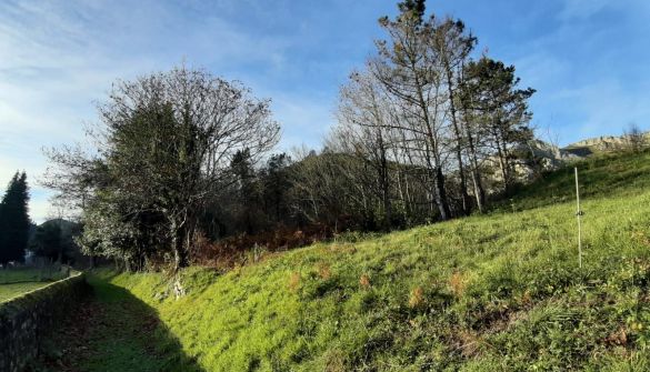 Plot in Cangas de Onís, Concejo Cangas de Onís, for sale