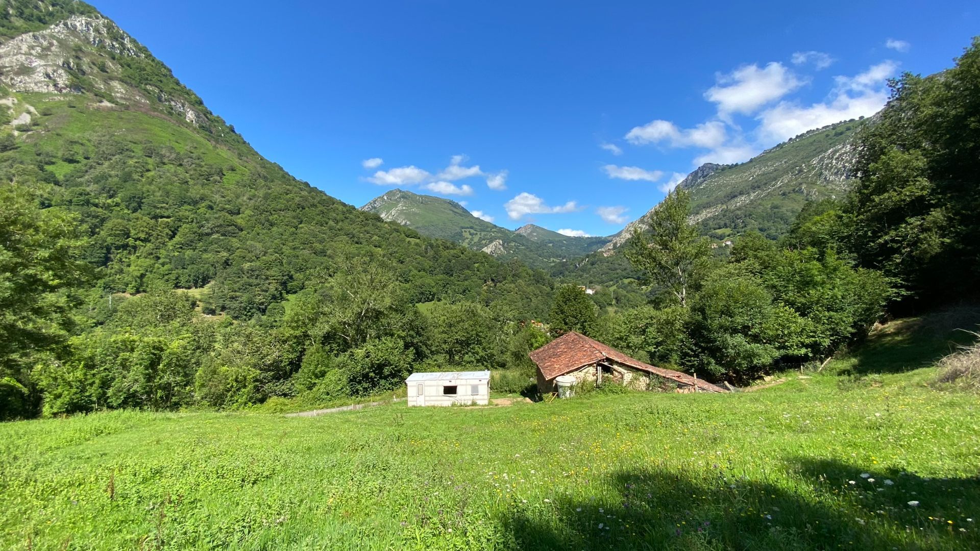 Finca rústica a Ponga, Concejo de Ponga, en venda