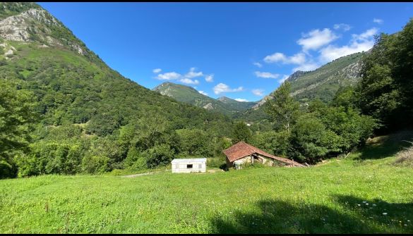 Finca rústica a Ponga, Concejo de Ponga, en venda