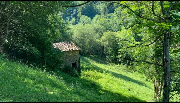 Finca rústica en Ponga, venta