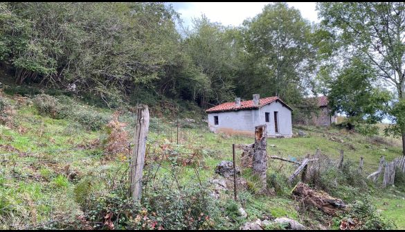 усадьба в Cangas de Onís, CONCEJO DE CANGAS DE ONIS, продажа