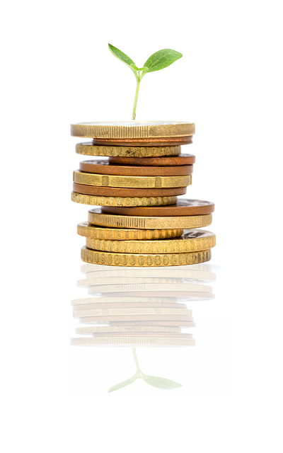 startup-1685533_640_2.png