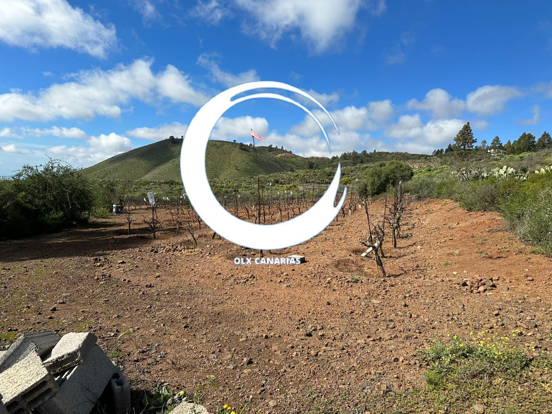 Omakotitalo maaseudulla sijainti Granadilla de Abona, myynti