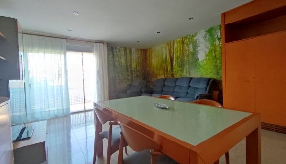 Casas adosadas en venta en la Selva del Camp