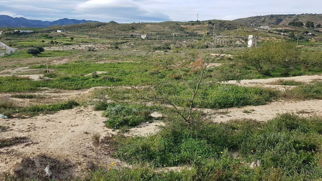 Parcela en Gallardos, Los, Huerta Nueva, venta