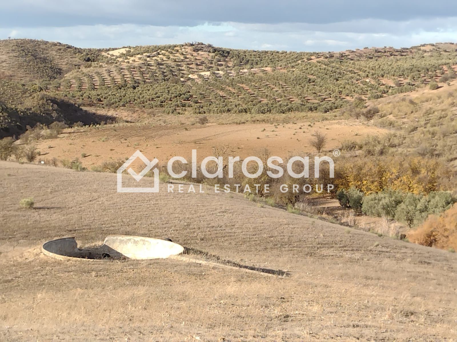 Finca Rústica en Venta en Alameda, Málaga.