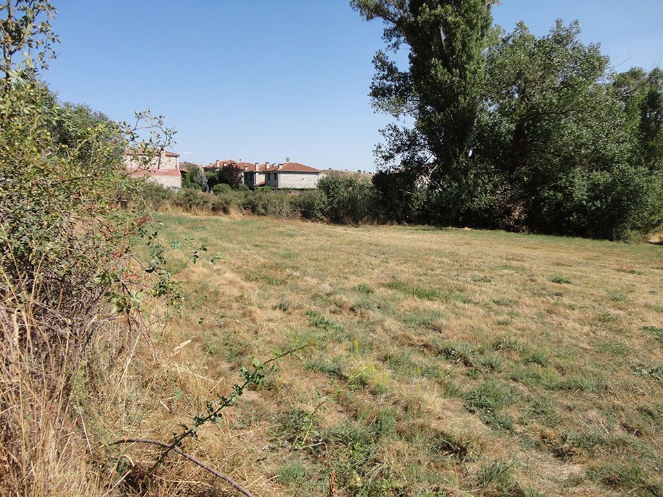 Parcela urbana en venta en Hontoria del Pinar