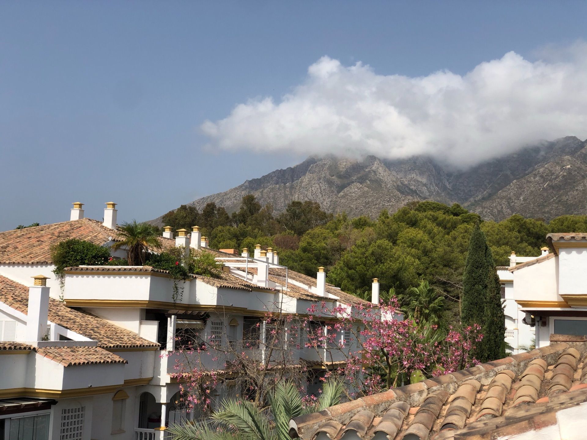 Ático en Marbella, venta