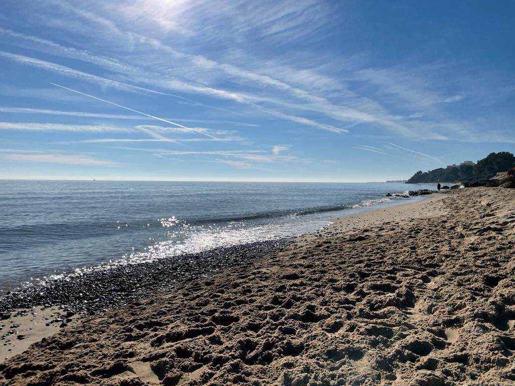 Descubre MIAMI PLATJA