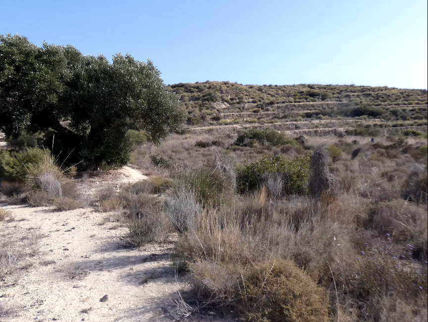 Parcela en El Campello, venta