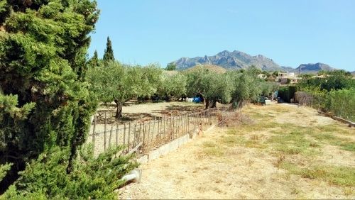 Solar Urbano en Busot, venta