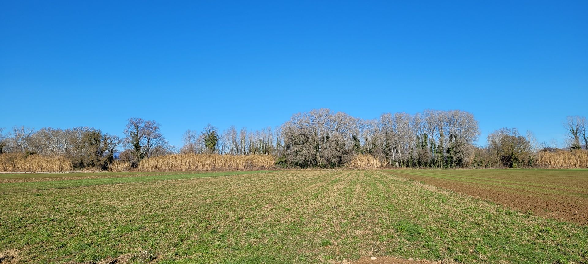 Parcela en Castelló d'Empúries, venta