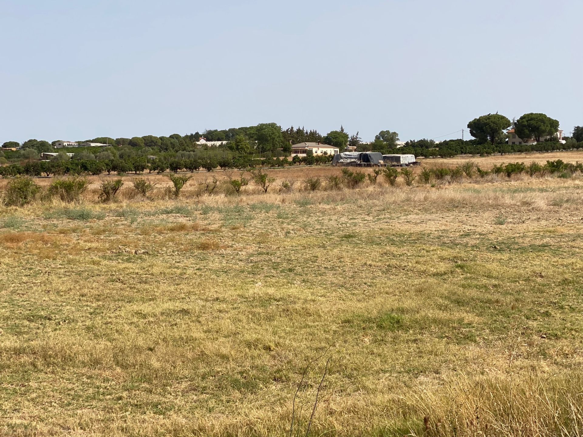 Finca rústica en Aljaraque, venta