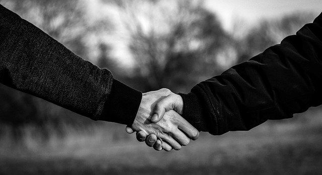 handshake-g9eb336038_640_6.jpg
