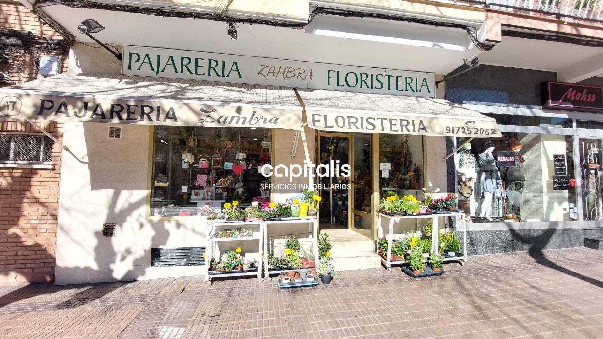 Local comercial en avenida Marqués de Corbera