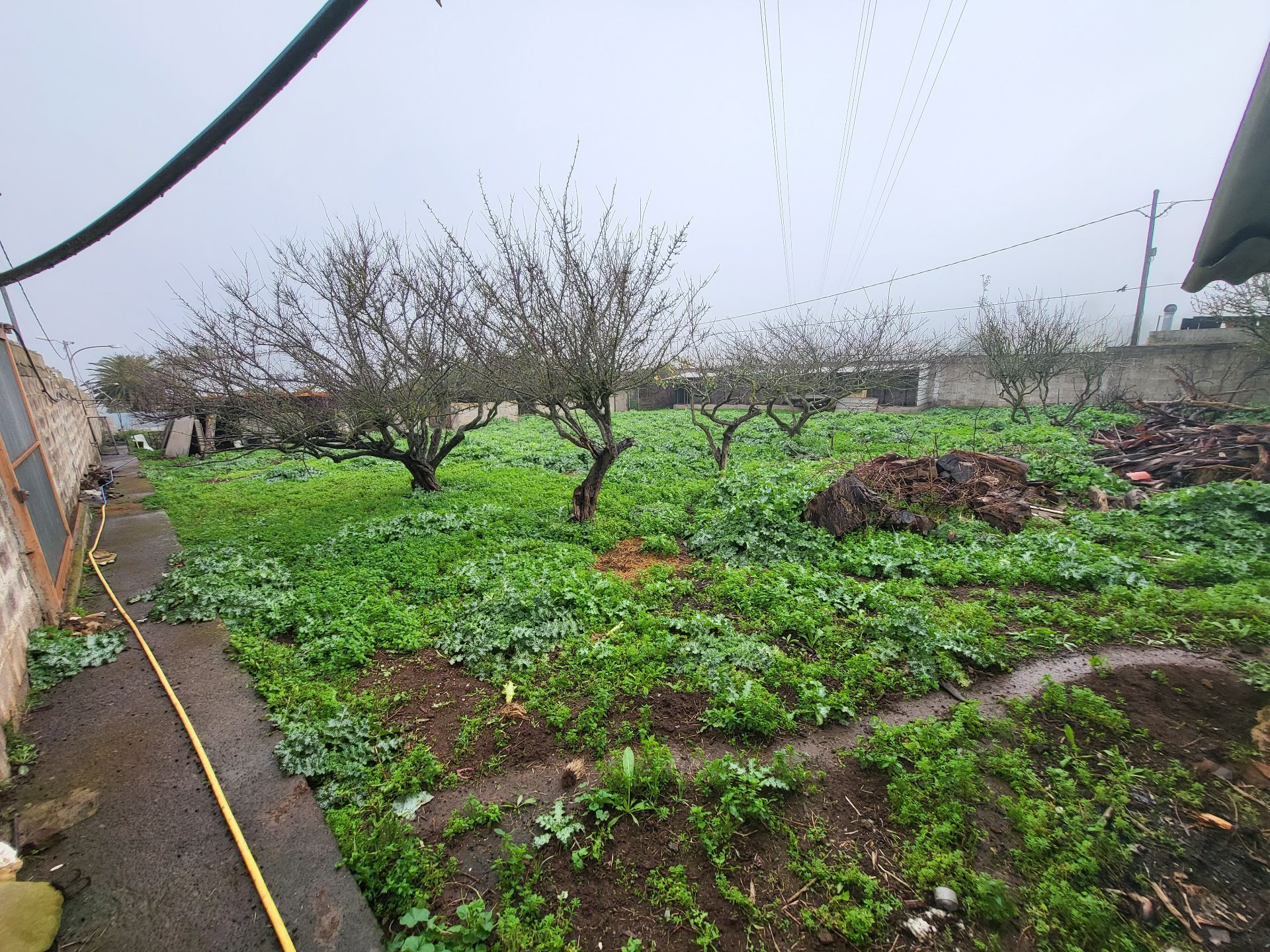 Parcela en Guamasa, venta