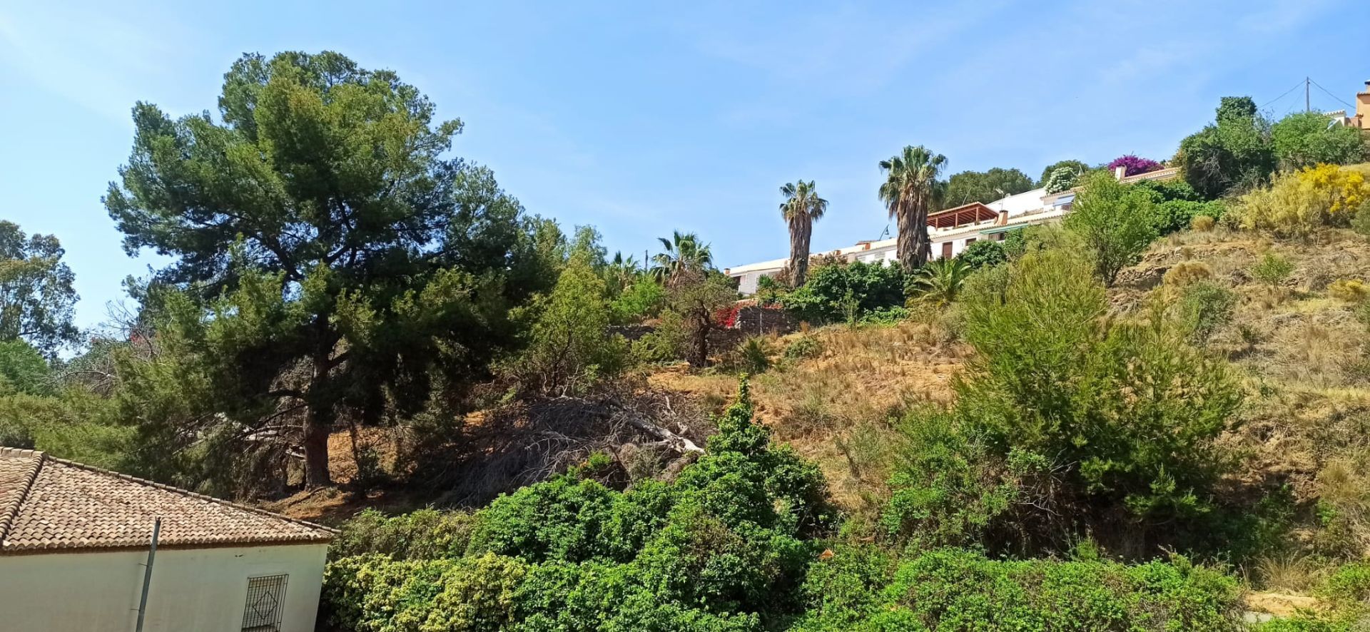 Terreno edificabili in Almuñécar, vendita