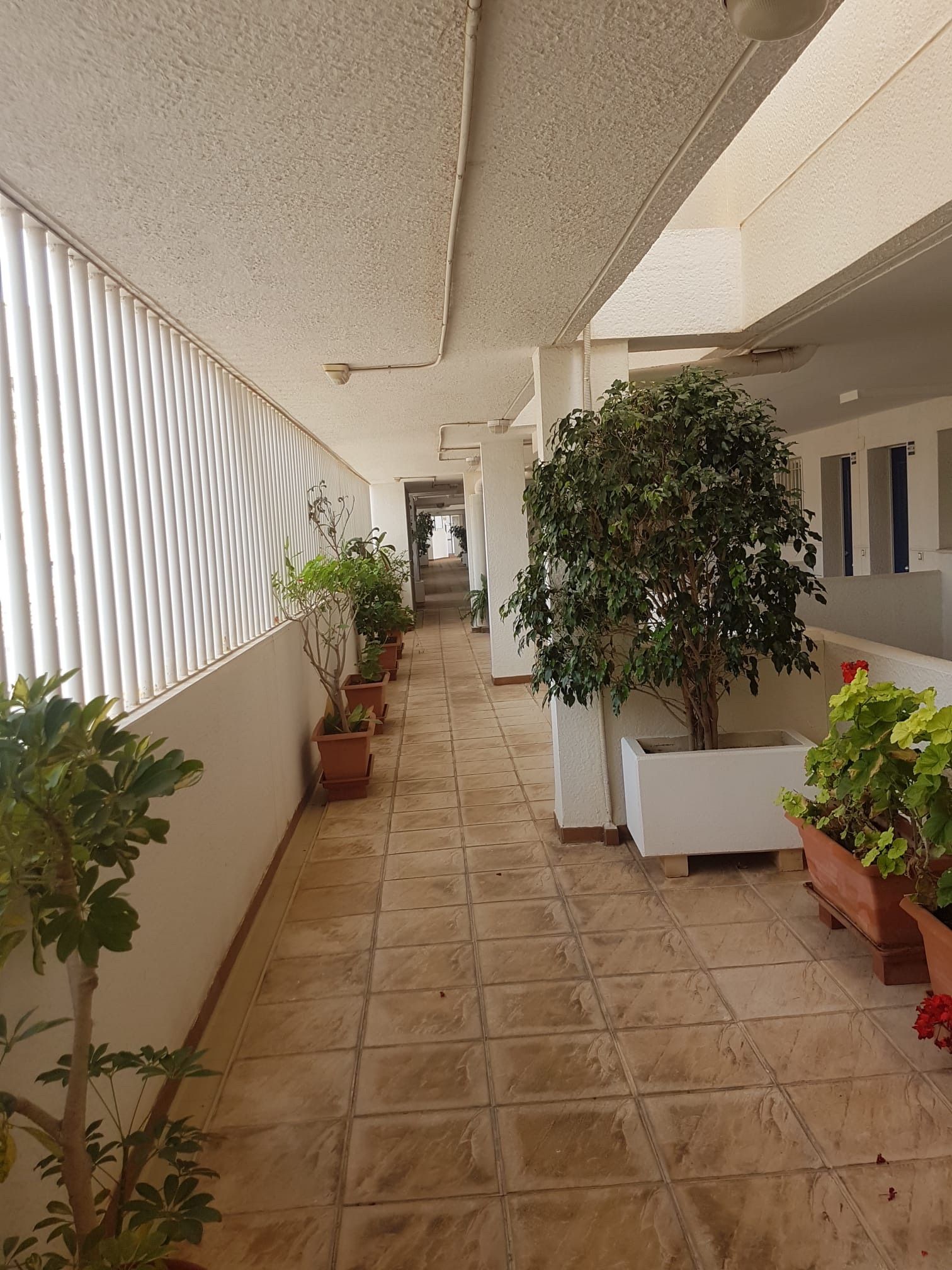 Apartamento in Benidorm