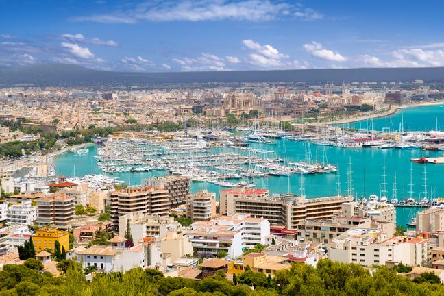 Navigating the Mallorca Real Estate Market: 7 Insider Tips and Expert Advice