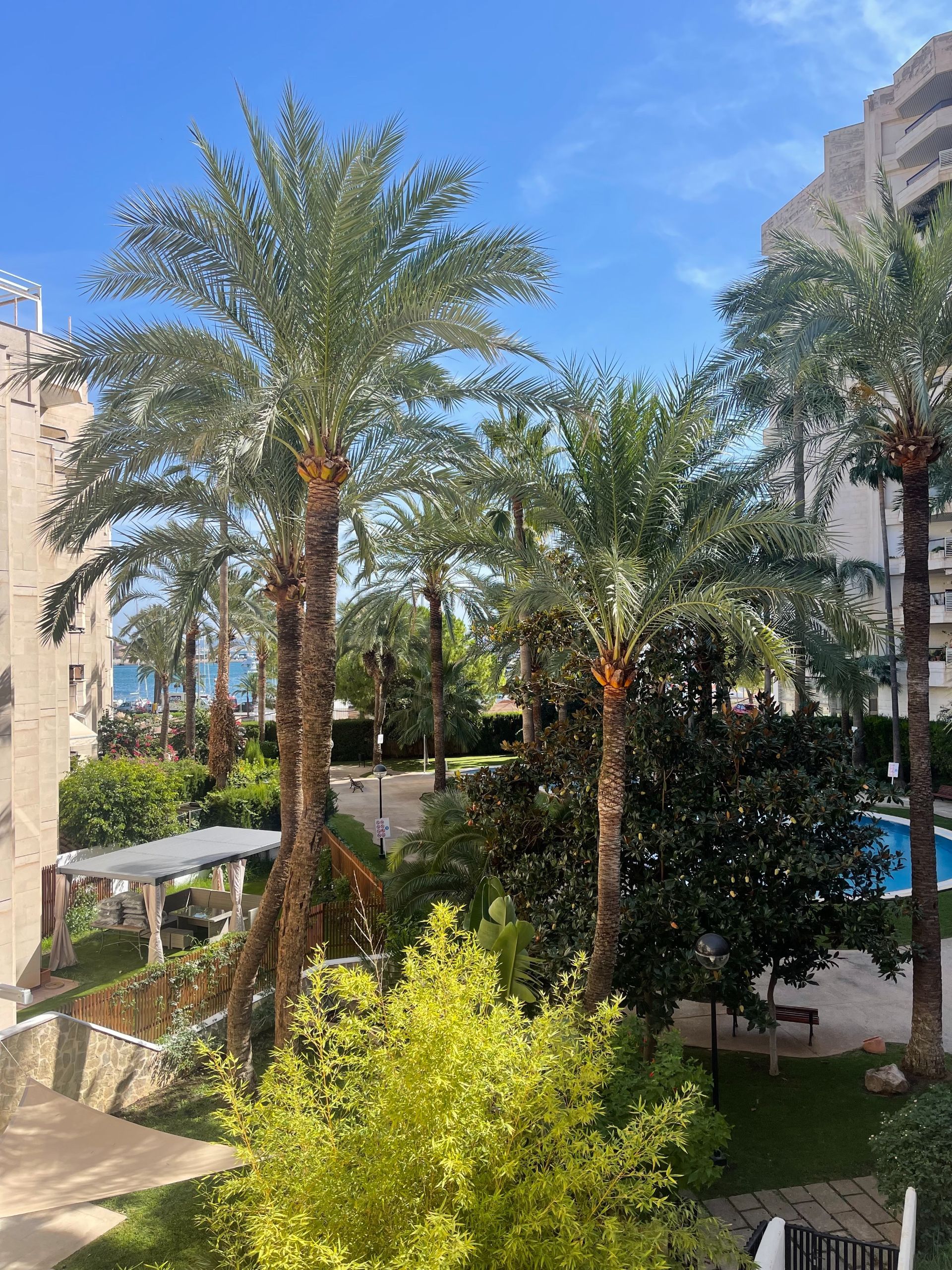 Penthouse in Palma, for sale