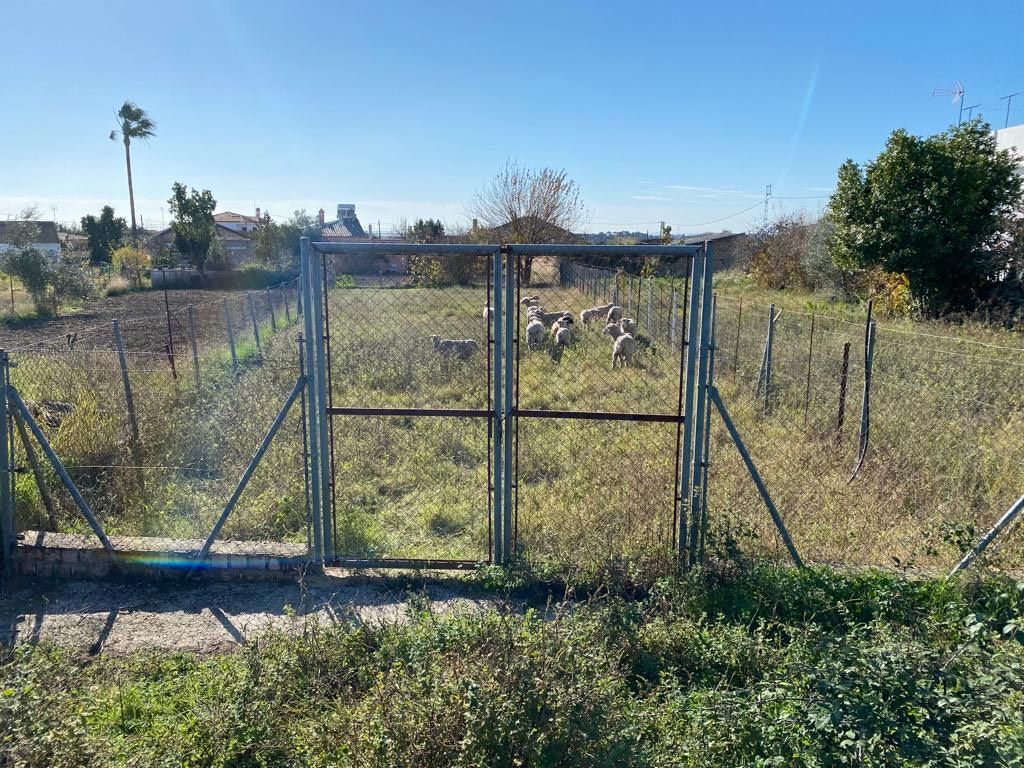 Solar Urbano en Garrobo, El, venta