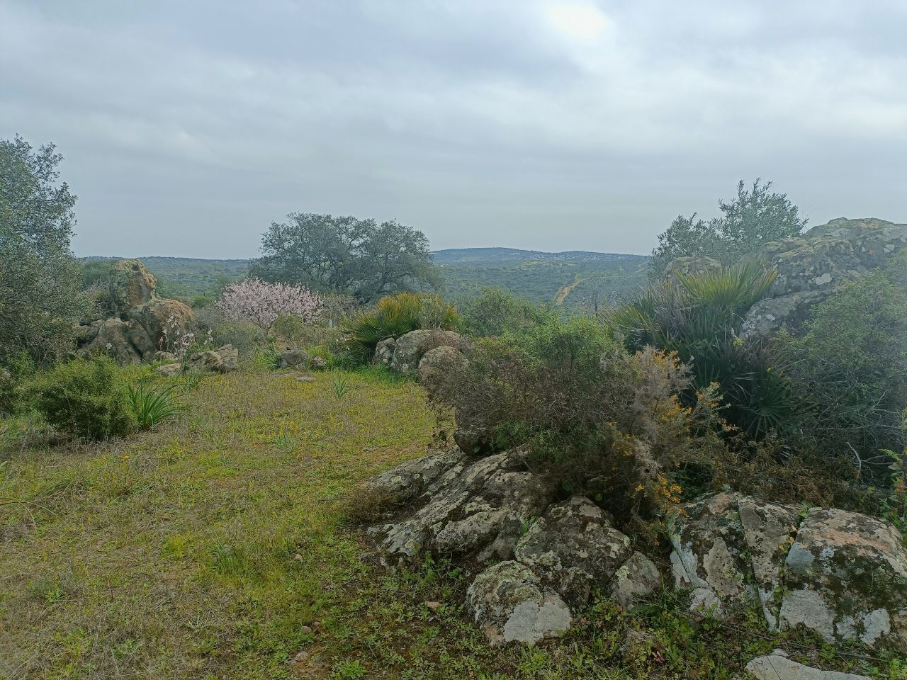 Finca rústica en Castilblanco de los Arroyos, venta