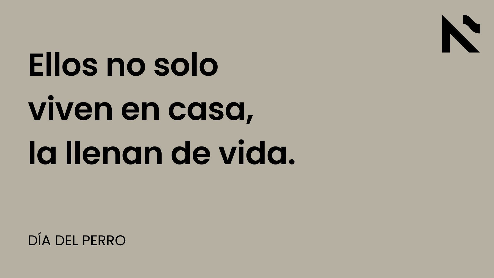 Ellos no solo viven en casa, la llenan de vida.