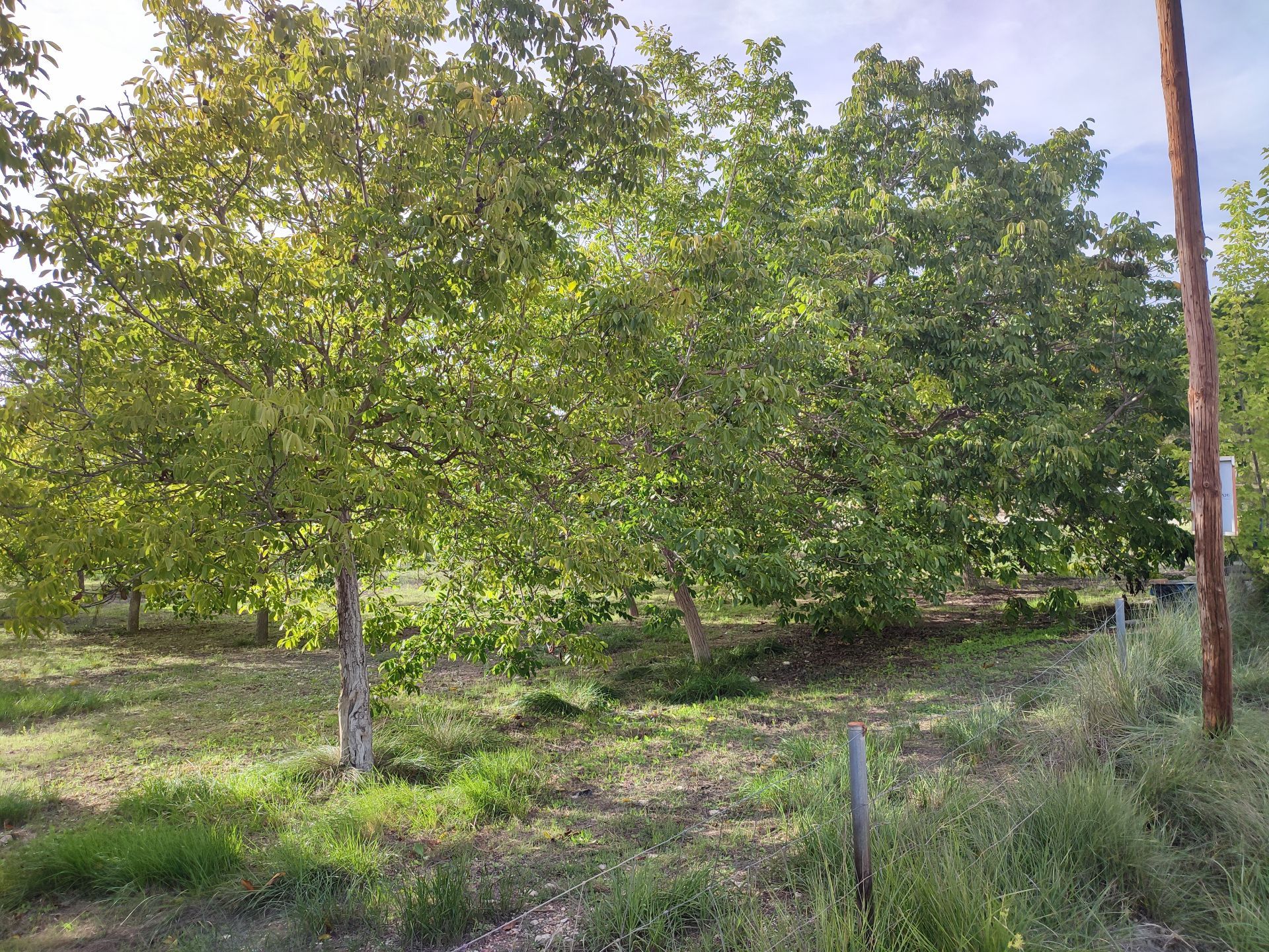 Plot in Ontinyent, Ombría, for sale