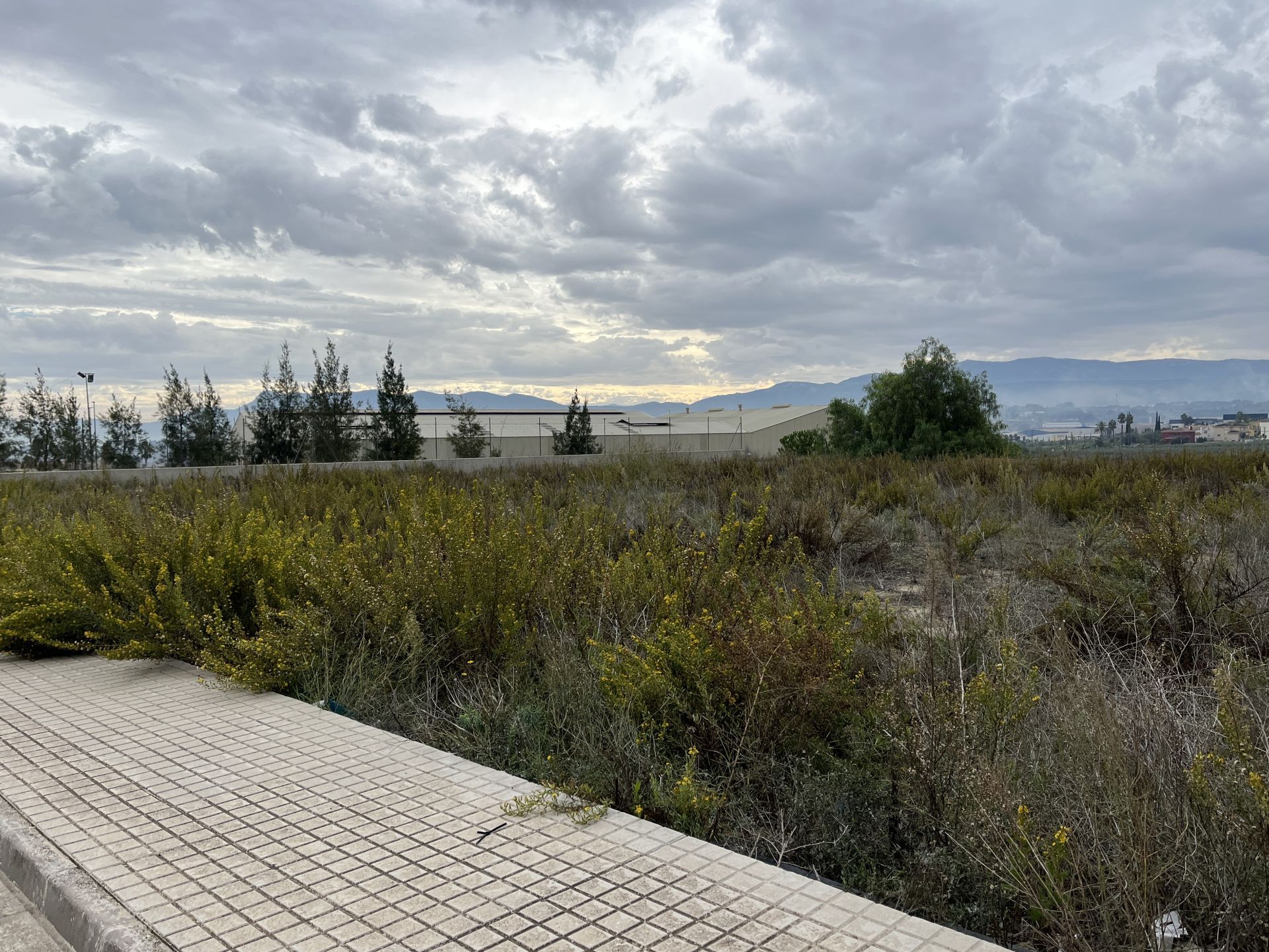 By grund i Ayelo de Malferit, Ayelo de Malferit, salg