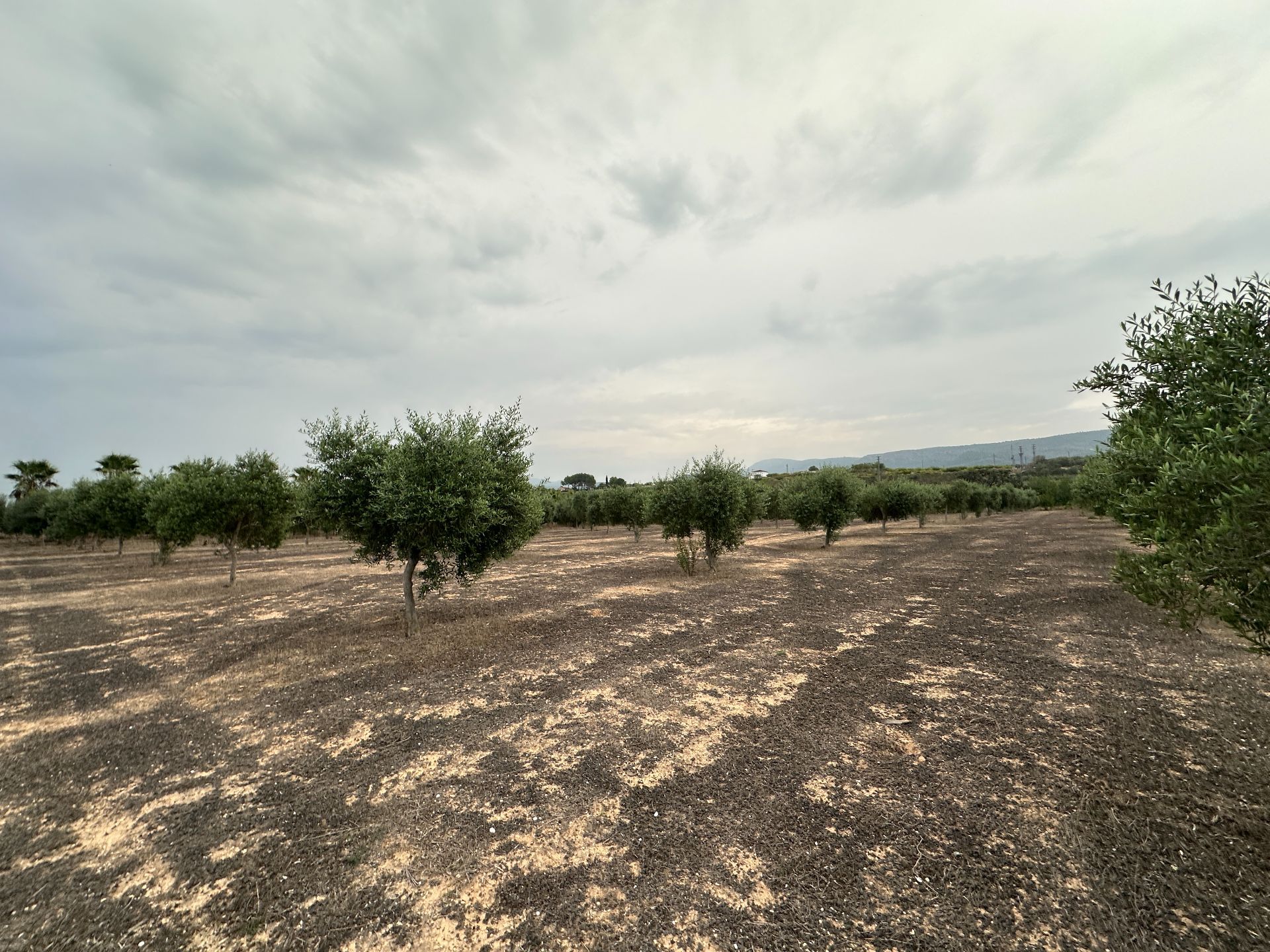 Plot in Agullent, Agullent, for sale