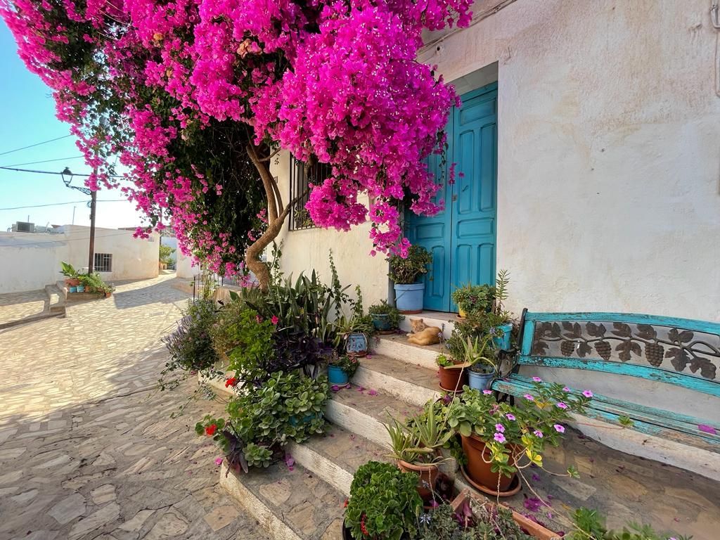 Casa de pueblo en Salobreña, venta