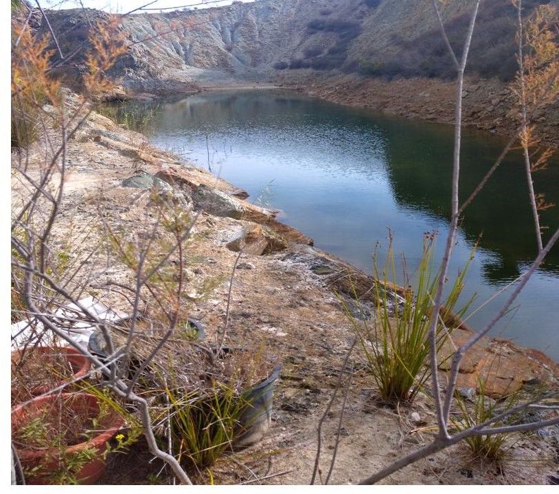 Propriété rurale à Cártama, vente