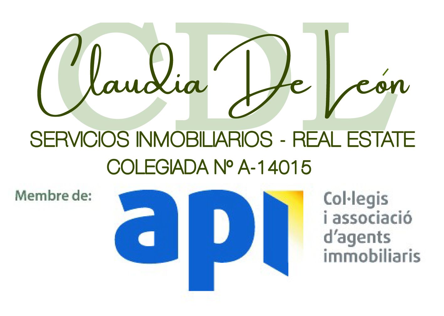 api-logo-conjunto.jpg