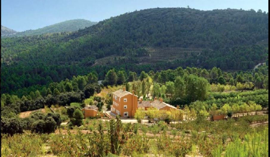 Countryside property in Penáguila, for sale