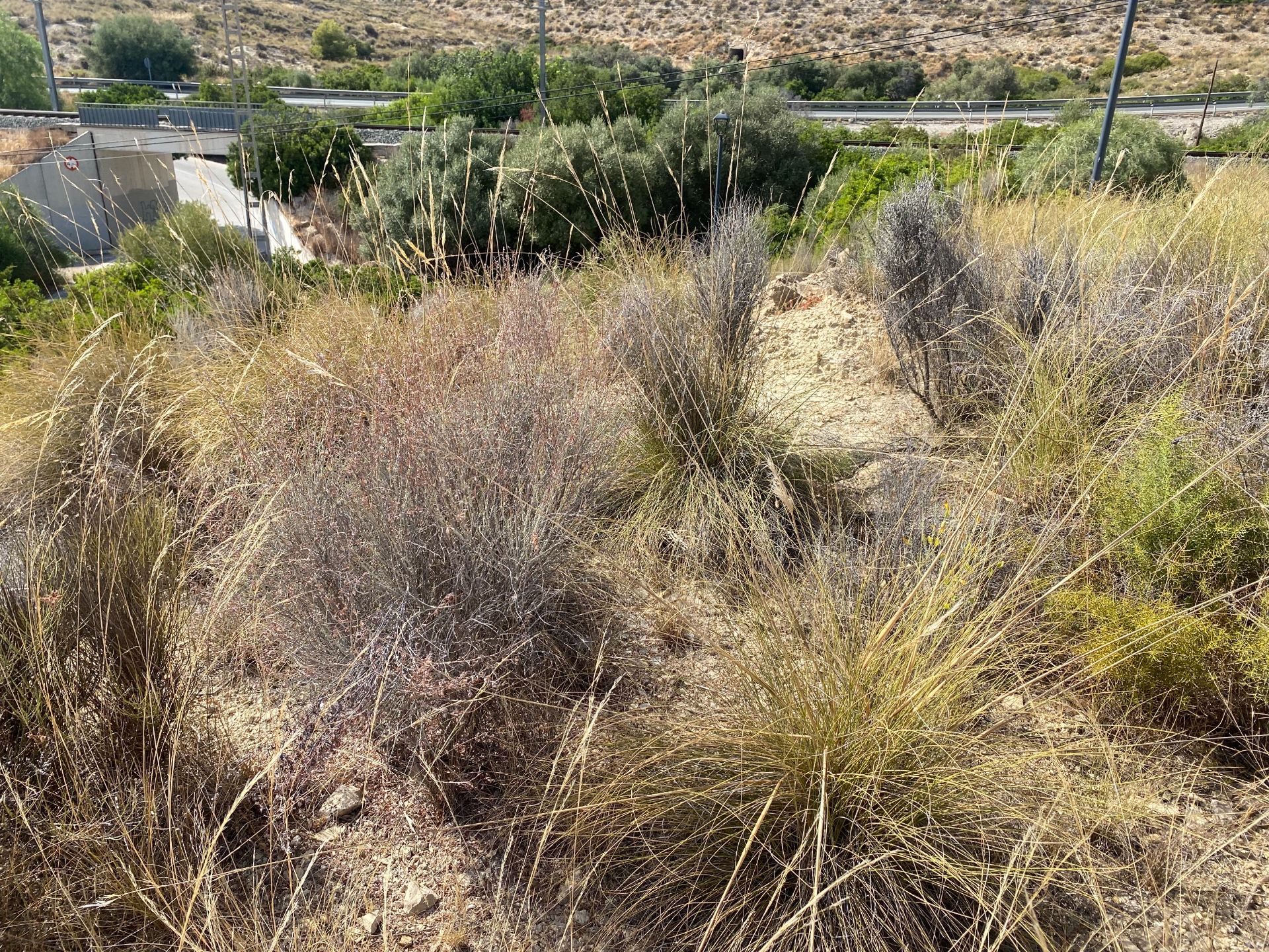 Urban Plot in El Campello, Pueblo Acantilado - Lanuza, for sale