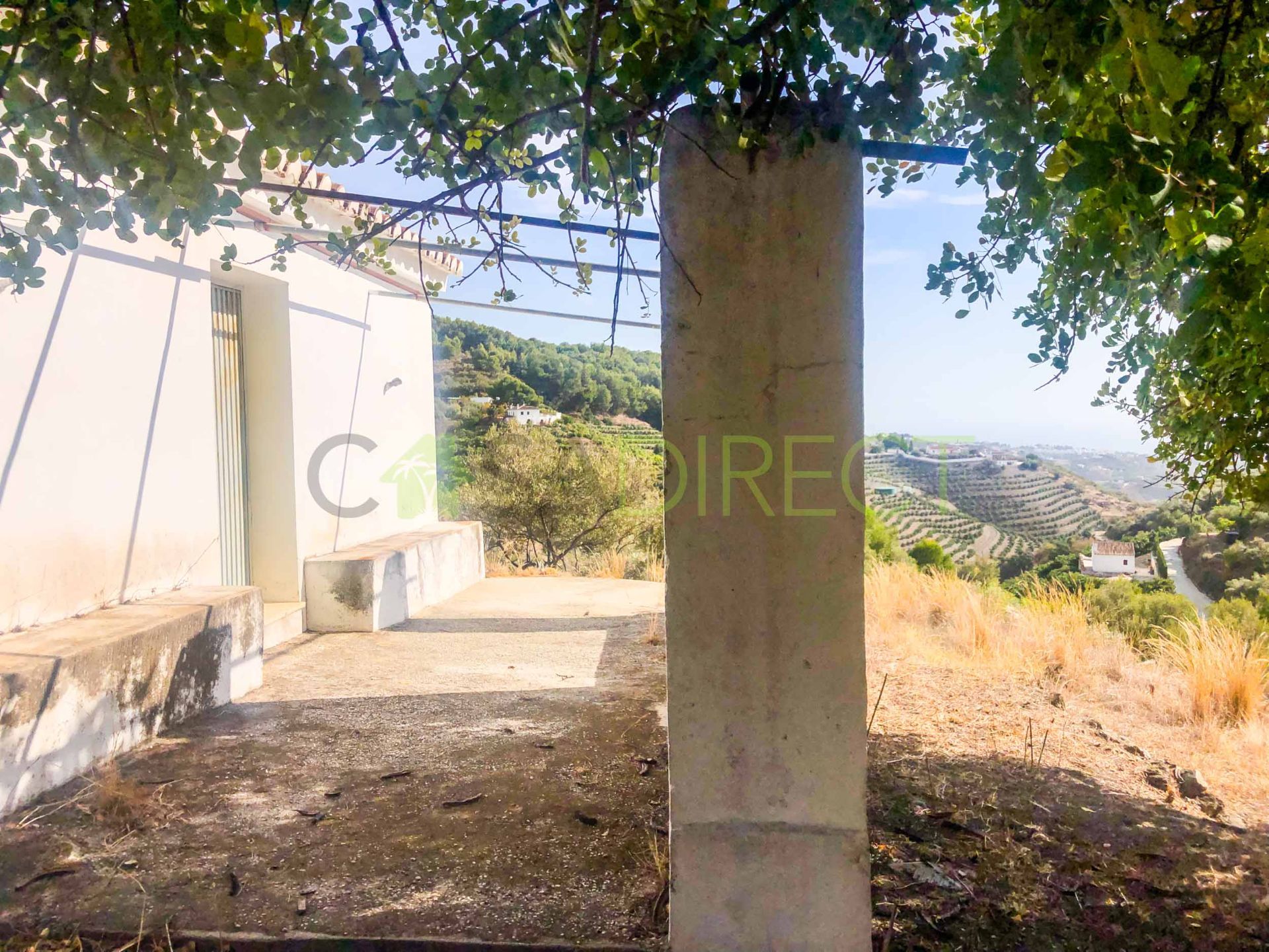 Terreno agricoli in Frigiliana, vendita