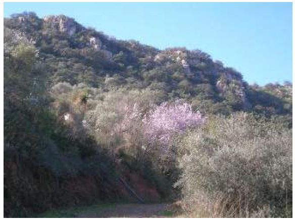 Parcel·la a Comares, en venda