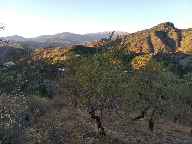 Terreno agricoli in Benamargosa, vendita